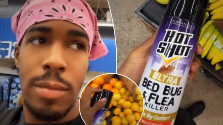 TikTok “Prankster” Arrested After Spraying Pesticide on Walmart Groceries