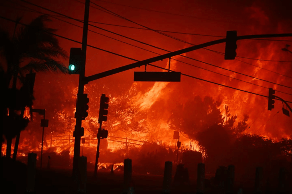  Sierra Nevada