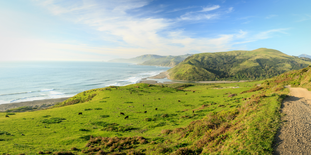 lost coast 