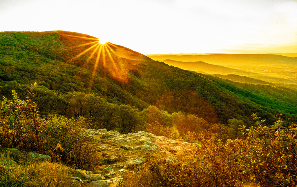 Shenandoah Valley