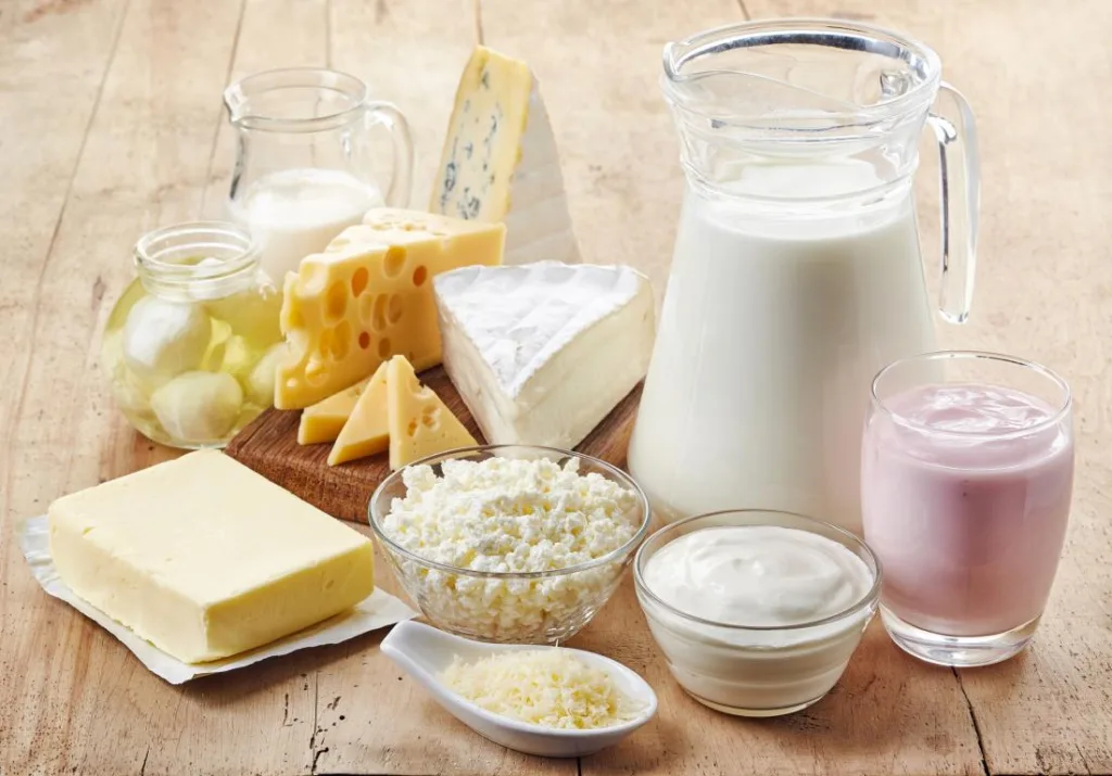 Dairy Products High in Fat