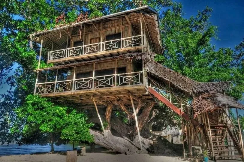 Treehouses of Papua New Guinea