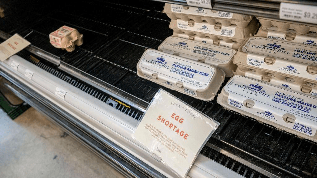 Rising Prices and Shortages