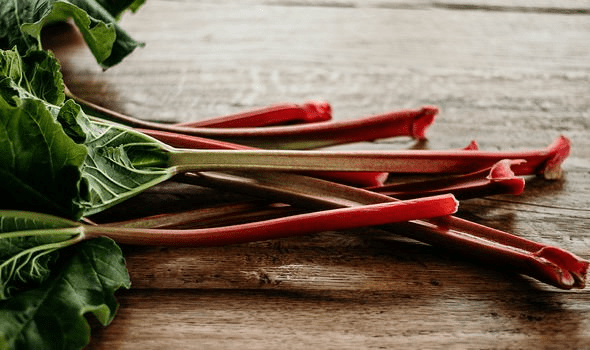 Rhubarb Leaves