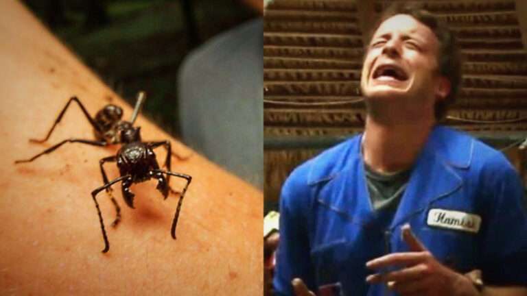 The Ultimate Test of Pain: Man Experiences ‘The Worst Pain a Human Can Feel’ from Bullet Ant Stings